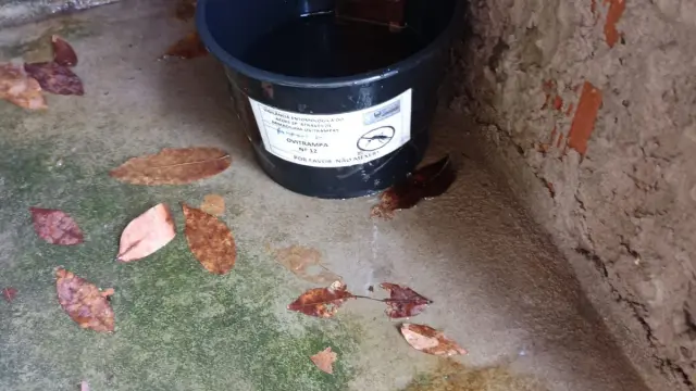 SECRETARAI DE SAÚDE INTENSIFICA AÇÕES DE VIGILÂNCIA CONTRA A DENGUE COM A INSTALAÇÃO DE NOVOS PONTOS DE ARMADILHAS DE OVITRAMPAS